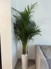 Air Purifier Bundle – Best Value