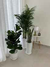 Air Purifier Bundle – Best Value