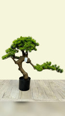 Artificial Bonsai