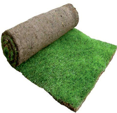 Natural Grass Carpet Roll (Paspalum)