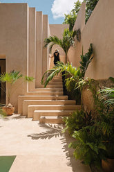 Manila Palm (Veitchia merrillii)