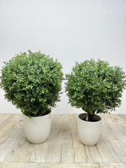 Artificial Ehretia Balls