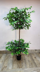 Artificial Ficus Benjamina | Weeping Fig