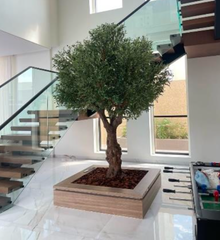 Artificial Olive Tree - 3M