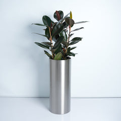 SS Classic Parrel - Satin