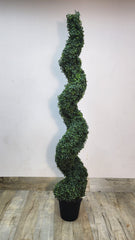 Artificial Spiral Ficus Tree