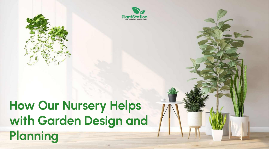How Our Nursery Helps with Garden Design and Planning