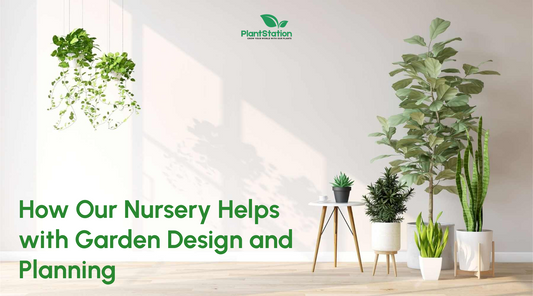How Our Nursery Helps with Garden Design and Planning