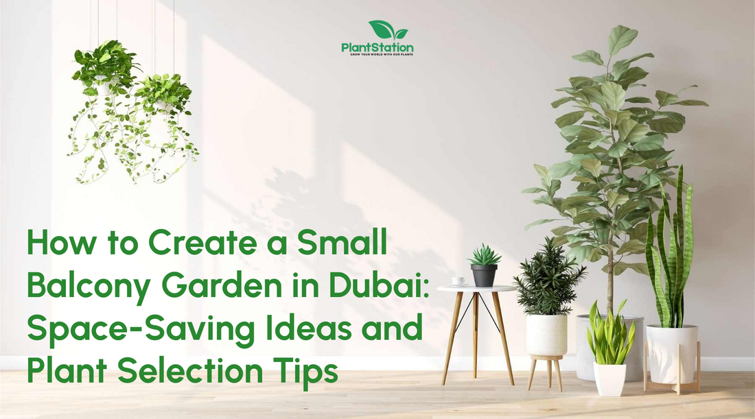 How to Create a Small Balcony Garden in Dubai: Space-Saving Ideas and Plant Selection Tips