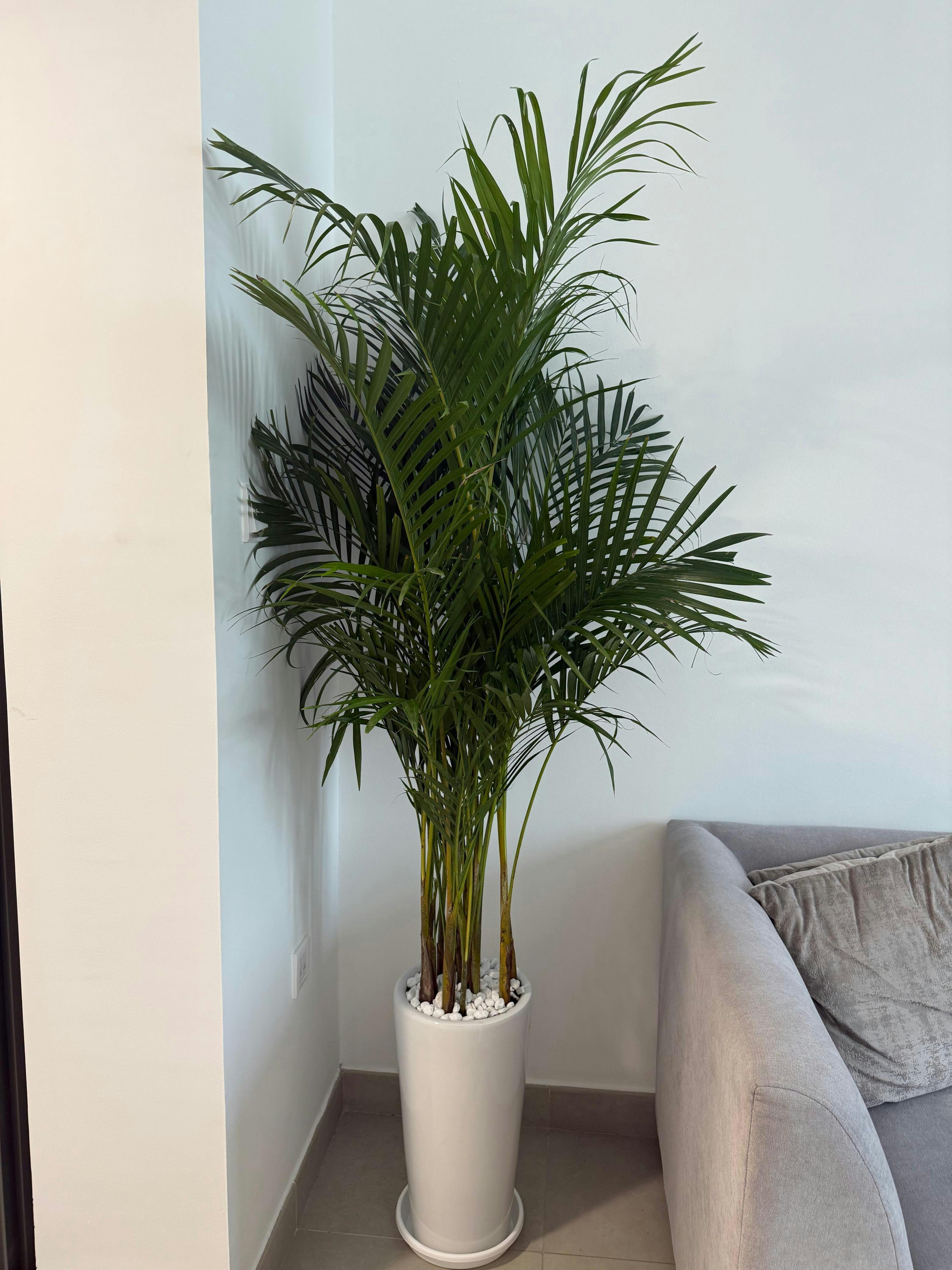 Air Purifier Bundle – Best Value