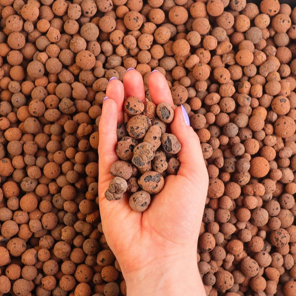 Leca Clay Balls 40L