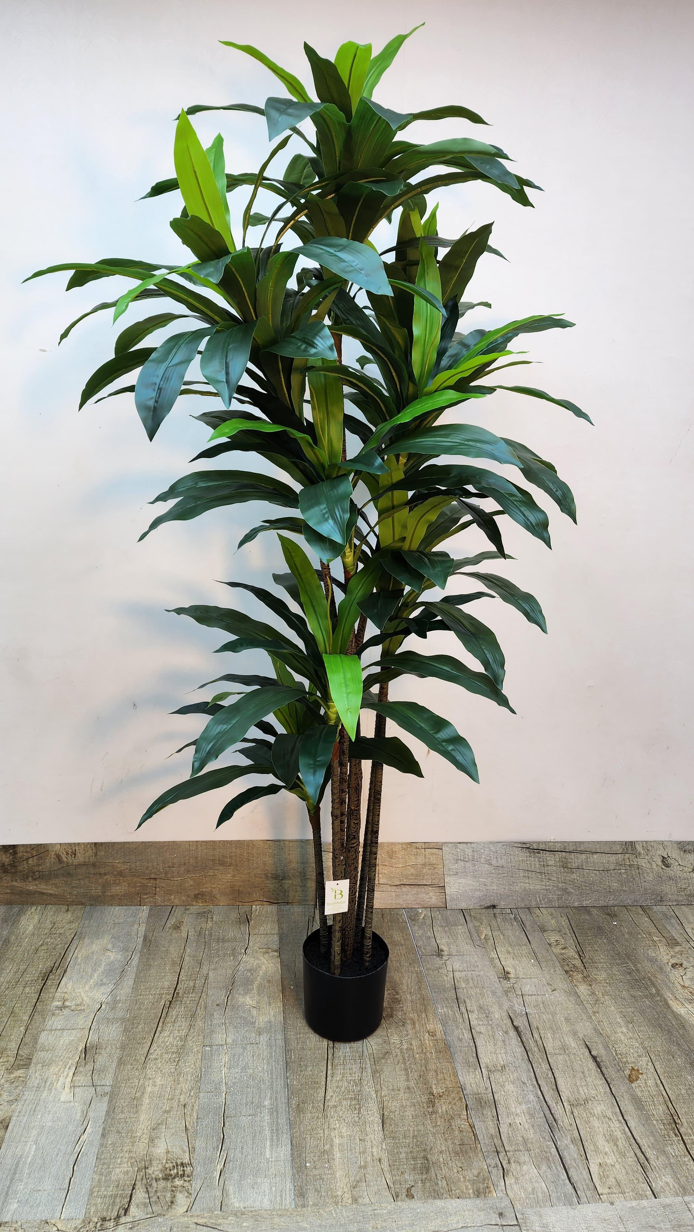 Artificial Dracaena Plant