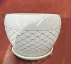 Ceramic Scallop-Texture Table-Top Pot with Saucer