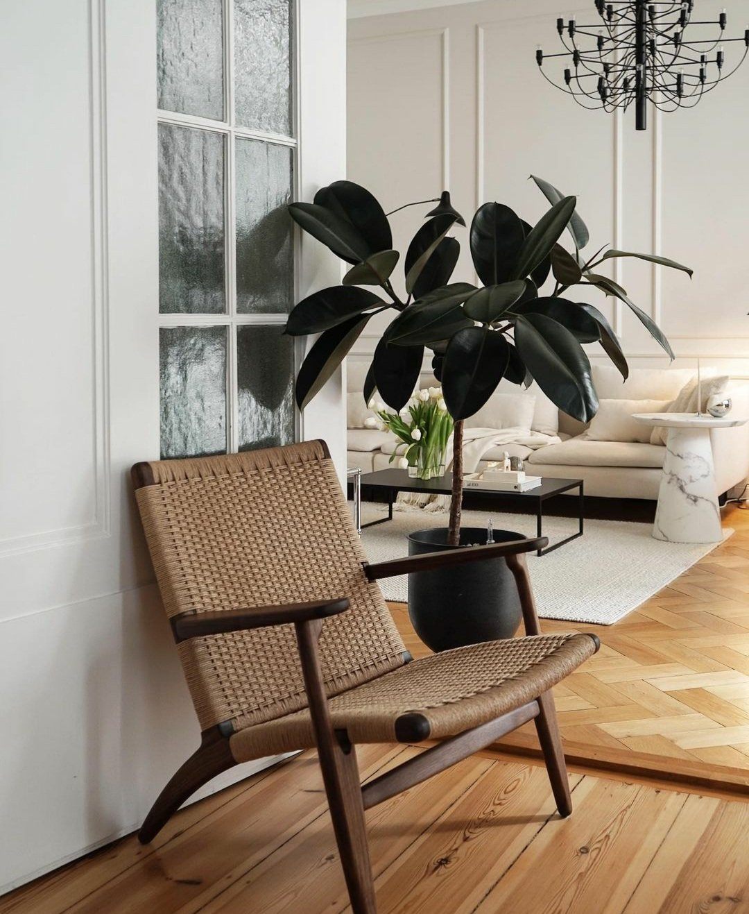 Ficus Elastica Robusta 'Rubber Tree'