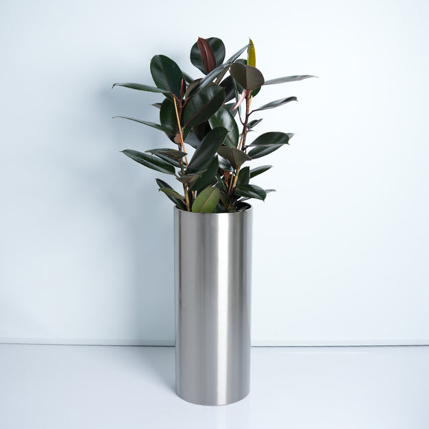 SS Classic Parrel - Satin